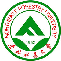 上海多少分能考上東北林業(yè)大學(xué)？最低多少位次？2025參考最低514分
