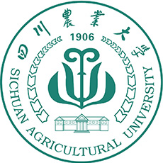 2024高考四川農業(yè)大學在四川地方專項錄取分數線最低多少？最低537（征集）
