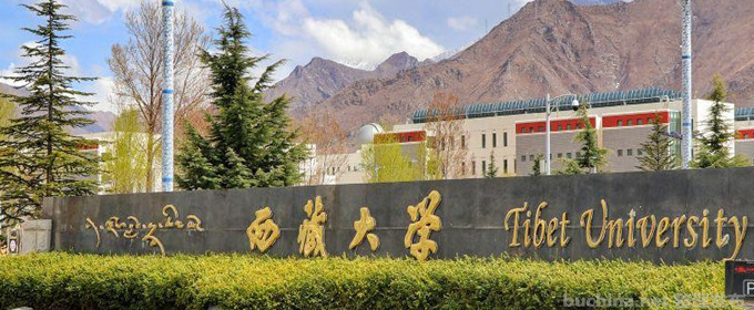 上海多少分能考上西藏大學(xué)？最低多少位次？2025參考最低437分