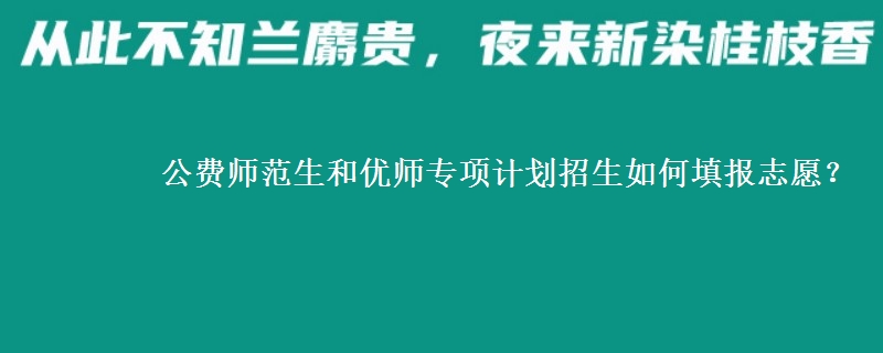 公費(fèi)師范生和優(yōu)師專項(xiàng)計(jì)劃招生如何填報(bào)志愿？
