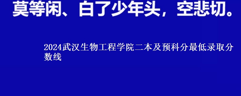 2024武漢生物工程學院二本及預科分最低錄取分數(shù)線