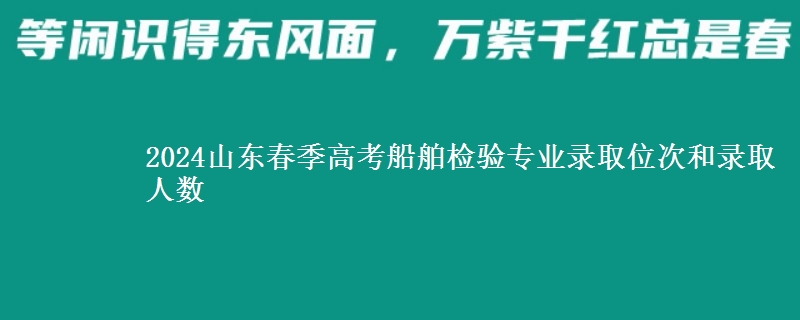 2024山東春季高考船舶檢驗(yàn)專業(yè)錄取位次和錄取人數(shù)