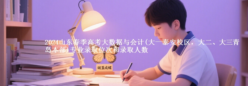 2024山東春季高考大數(shù)據(jù)與會計(jì)(大一泰安校區(qū)，大二、大三青島本部)專業(yè)錄取位次和錄取人數(shù)