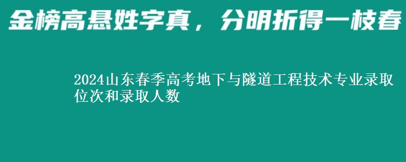 2024山東春季高考地下與隧道工程技術(shù)專業(yè)錄取位次和錄取人數(shù)