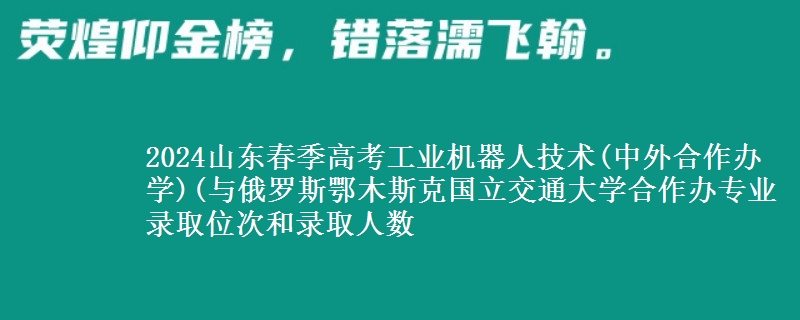 2024山東春季高考工業(yè)機器人技術(shù)(中外合作辦學(xué))(與俄羅斯鄂木斯克國立交通大學(xué)合作辦專業(yè)錄取位次和錄取人數(shù)