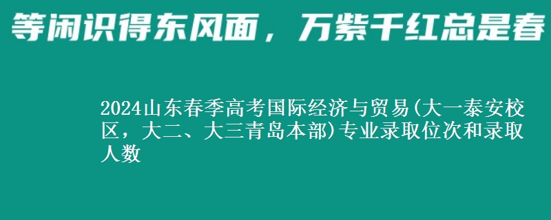 2024山東春季高考國際經(jīng)濟與貿(mào)易(大一泰安校區(qū)，大二、大三青島本部)專業(yè)錄取位次和錄取人數(shù)