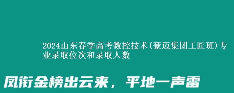 2024山東春季高考數(shù)控技術(shù)(豪邁集團(tuán)工匠班)專業(yè)錄取位次和錄取人數(shù)