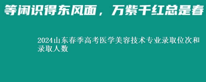 2024山東春季高考醫(yī)學美容技術(shù)專業(yè)錄取位次和錄取人數(shù)