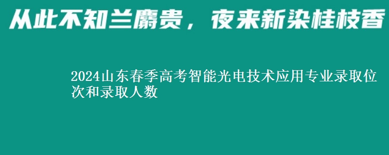 2024山東春季高考智能光電技術(shù)應(yīng)用專業(yè)錄取位次和錄取人數(shù)