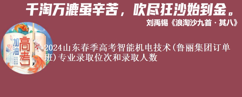 2024山東春季高考智能機電技術(shù)(魯麗集團訂單班)專業(yè)錄取位次和錄取人數(shù)