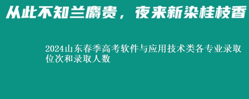 2024山東春季高考軟件與應(yīng)用技術(shù)類各專業(yè)錄取位次和錄取人數(shù)