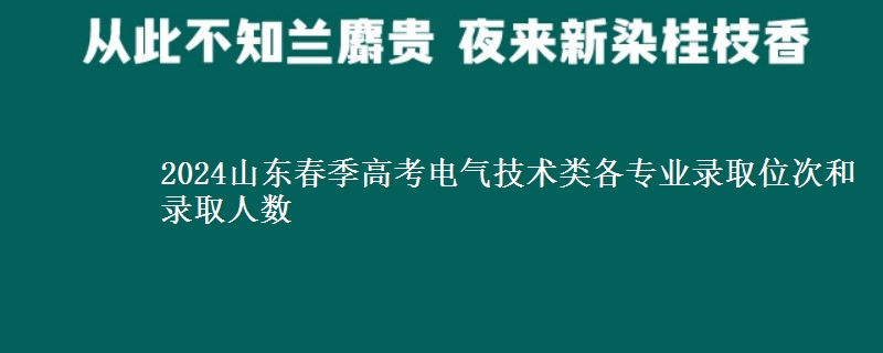 2024山東春季高考電氣技術(shù)類各專業(yè)錄取位次和錄取人數(shù)