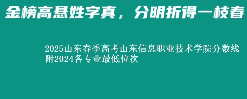 2025山東春季高考山東信息職業(yè)技術(shù)學(xué)院分數(shù)線 附2024各專業(yè)最低位次