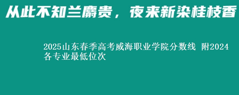 2025山東春季高考威海職業(yè)學(xué)院分?jǐn)?shù)線 附2024各專業(yè)最低位次