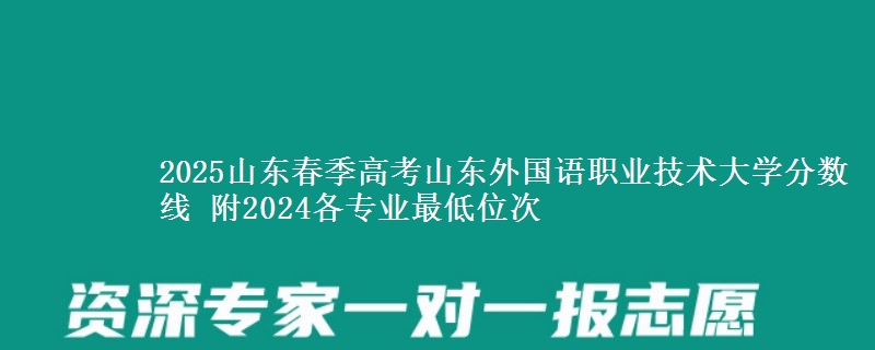 2025山東春季高考山東外國(guó)語(yǔ)職業(yè)技術(shù)大學(xué)分?jǐn)?shù)線 附2024各專業(yè)最低位次