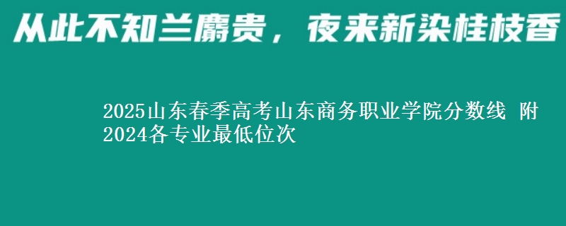 2025山東春季高考山東商務(wù)職業(yè)學(xué)院分?jǐn)?shù)線 附2024各專業(yè)最低位次