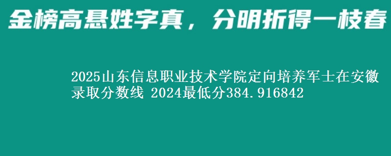 2025山東信息職業(yè)技術(shù)學(xué)院定向培養(yǎng)軍士在安徽錄取分?jǐn)?shù)線 2024最低分384.916842