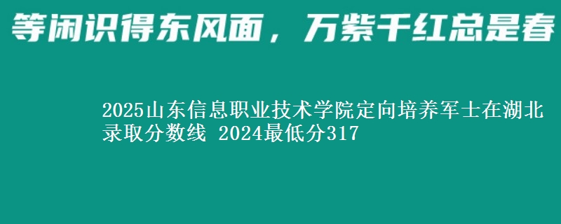 2025山東信息職業(yè)技術(shù)學院定向培養(yǎng)軍士在湖北錄取分數(shù)線 2024最低分317
