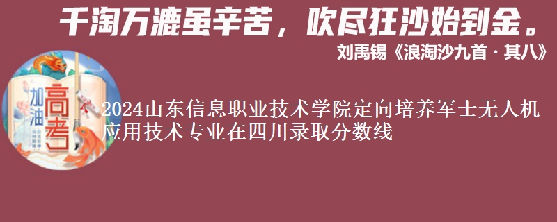2024山東信息職業(yè)技術學院定向培養(yǎng)軍士無人機應用技術專業(yè)在四川錄取分數(shù)線