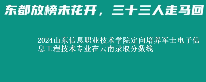 2024山東信息職業(yè)技術學院定向培養(yǎng)軍士電子信息工程技術專業(yè)在云南錄取分數(shù)線