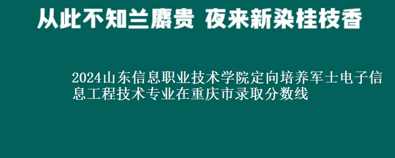 2024山東信息職業(yè)技術(shù)學(xué)院定向培養(yǎng)軍士電子信息工程技術(shù)專業(yè)在重慶市錄取分?jǐn)?shù)線