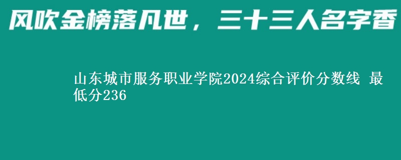 山東城市服務(wù)職業(yè)學(xué)院2024綜合評價分?jǐn)?shù)線 最低分236