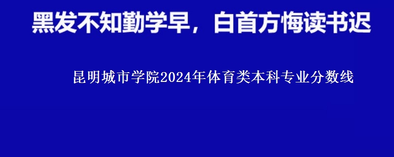 昆明城市學院2024年體育類本科專業(yè)分數(shù)線