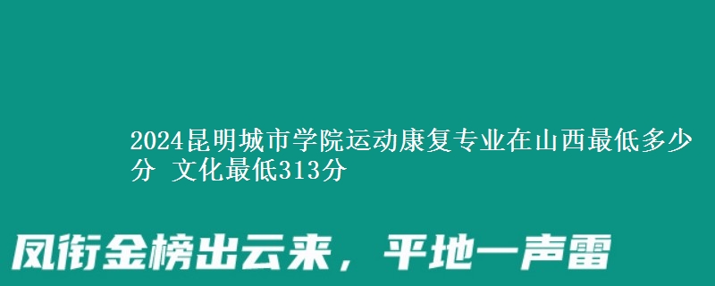 2024昆明城市學院運動康復專業(yè)在山西最低多少分 文化最低313分