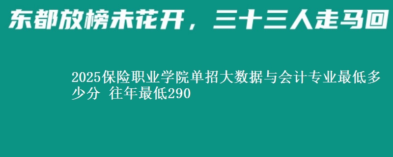 2025保險職業(yè)學(xué)院單招大數(shù)據(jù)與會計(jì)專業(yè)最低多少分 往年最低290