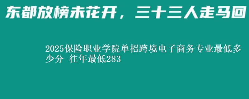2025保險職業(yè)學(xué)院單招跨境電子商務(wù)專業(yè)最低多少分 往年最低283