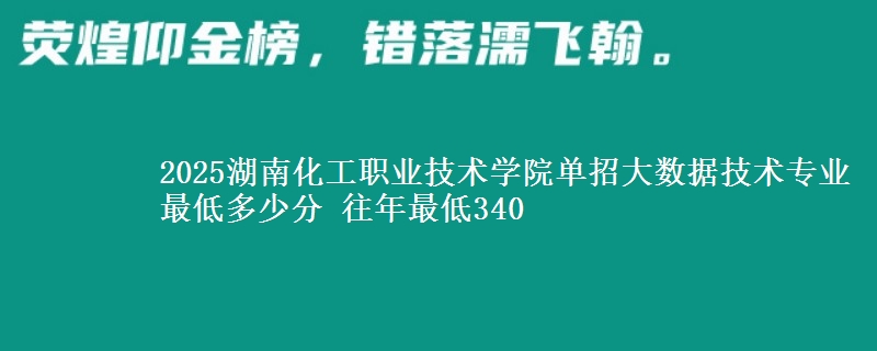 2025湖南化工職業(yè)技術(shù)學(xué)院?jiǎn)握写髷?shù)據(jù)技術(shù)專業(yè)最低多少分 往年最低340