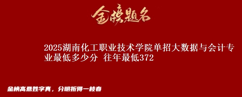 2025湖南化工職業(yè)技術(shù)學(xué)院?jiǎn)握写髷?shù)據(jù)與會(huì)計(jì)專業(yè)最低多少分 往年最低372
