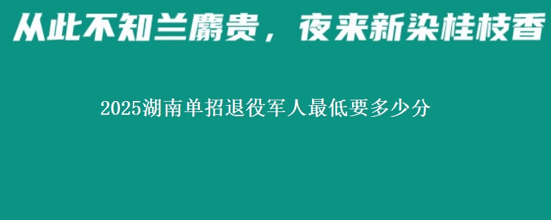 2025湖南單招退役軍人最低要多少分 