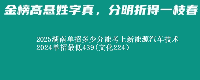 2025湖南單招多少分能考上新能源汽車技術(shù) 2024單招最低439(文化224）