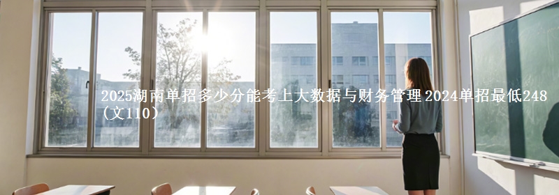 2025湖南單招多少分能考上大數(shù)據(jù)與財務(wù)管理 2024單招最低248(文110）