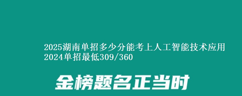 2025湖南單招多少分能考上人工智能技術(shù)應(yīng)用 2024單招最低309/360