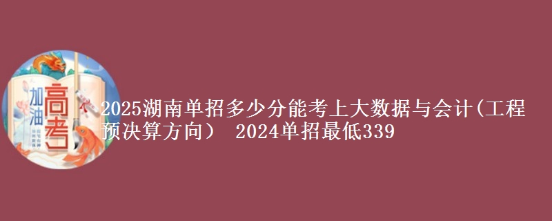 2025湖南單招多少分能考上大數(shù)據(jù)與會(huì)計(jì)(工程預(yù)決算方向） 2024單招最低339