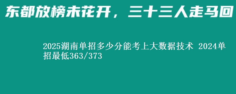 2025湖南單招多少分能考上大數(shù)據(jù)技術(shù) 2024單招最低363/373