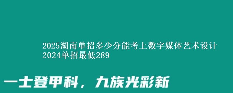 2025湖南單招多少分能考上數(shù)字媒體藝術(shù)設(shè)計(jì) 2024單招最低289