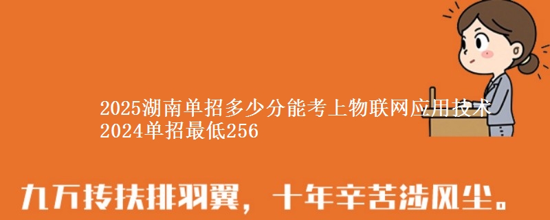 2025湖南單招多少分能考上物聯(lián)網(wǎng)應用技術 2024單招最低256