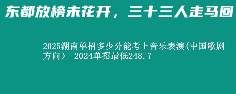 2025湖南單招多少分能考上音樂表演(中國歌劇方向） 2024單招最低248.7