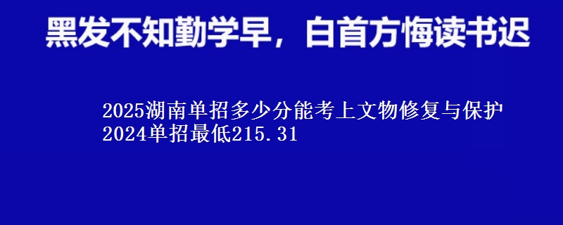 2025湖南單招多少分能考上文物修復(fù)與保護(hù) 2024單招最低215.31