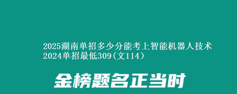 2025湖南單招多少分能考上智能機器人技術 2024單招最低309(文114）