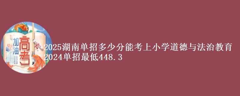 2025湖南單招多少分能考上小學(xué)道德與法治教育 2024單招最低448.3