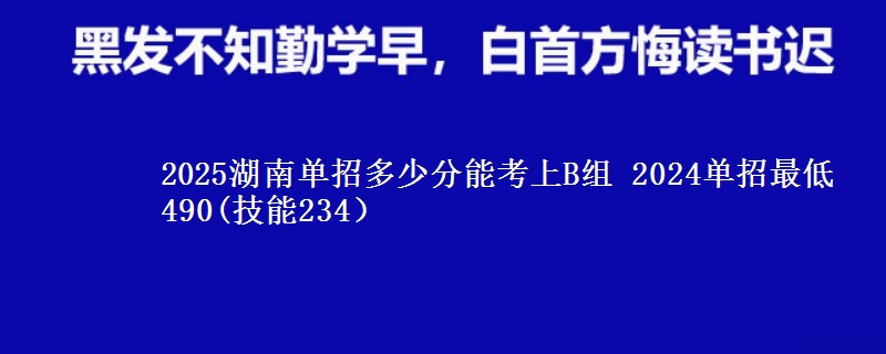 2025湖南單招多少分能考上B組 2024單招最低490(技能234）