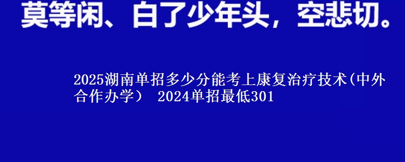 2025湖南單招多少分能考上康復(fù)治療技術(shù)(中外合作辦學(xué)） 2024單招最低301