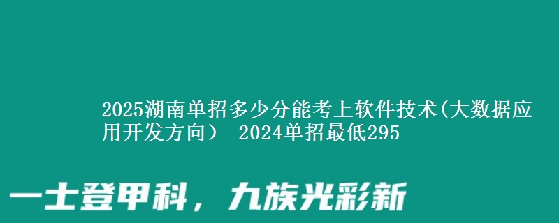 2025湖南單招多少分能考上軟件技術(大數(shù)據(jù)應用開發(fā)方向） 2024單招最低295