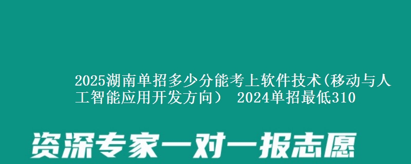 2025湖南單招多少分能考上軟件技術(移動與人工智能應用開發(fā)方向） 2024單招最低310