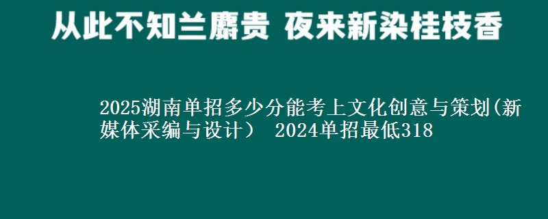 2025湖南單招多少分能考上文化創(chuàng)意與策劃(新媒體采編與設(shè)計） 2024單招最低318