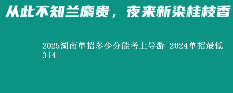 2025湖南單招多少分能考上導(dǎo)游 2024單招最低314